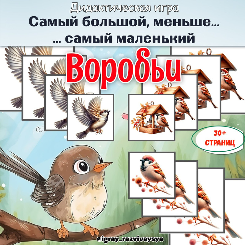 ОТ САМОГО БОЛЬШОГО К САМОМУ МАЛЕНЬКОМУ ВОРОБЬИ