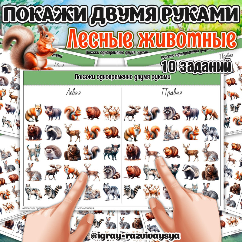 ПОКАЖИ ДВУМЯ РУКАМИ ЛЕСНЫЕ ЖИВОТНЫЕ СЛОЖНОСТЬ2