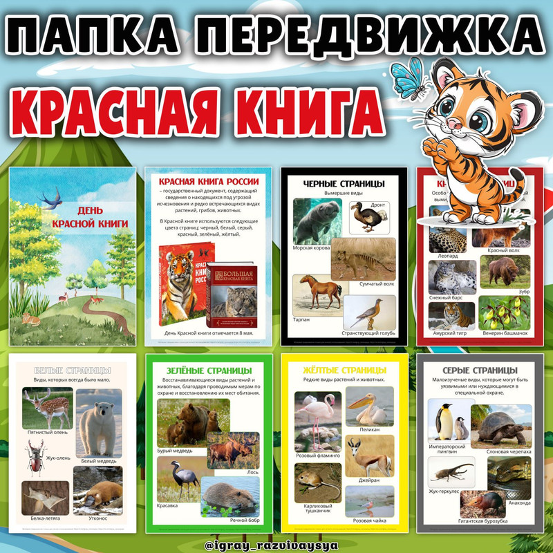 ПАПКА ПЕРЕДВИЖКА КРАСНАЯ КНИГА