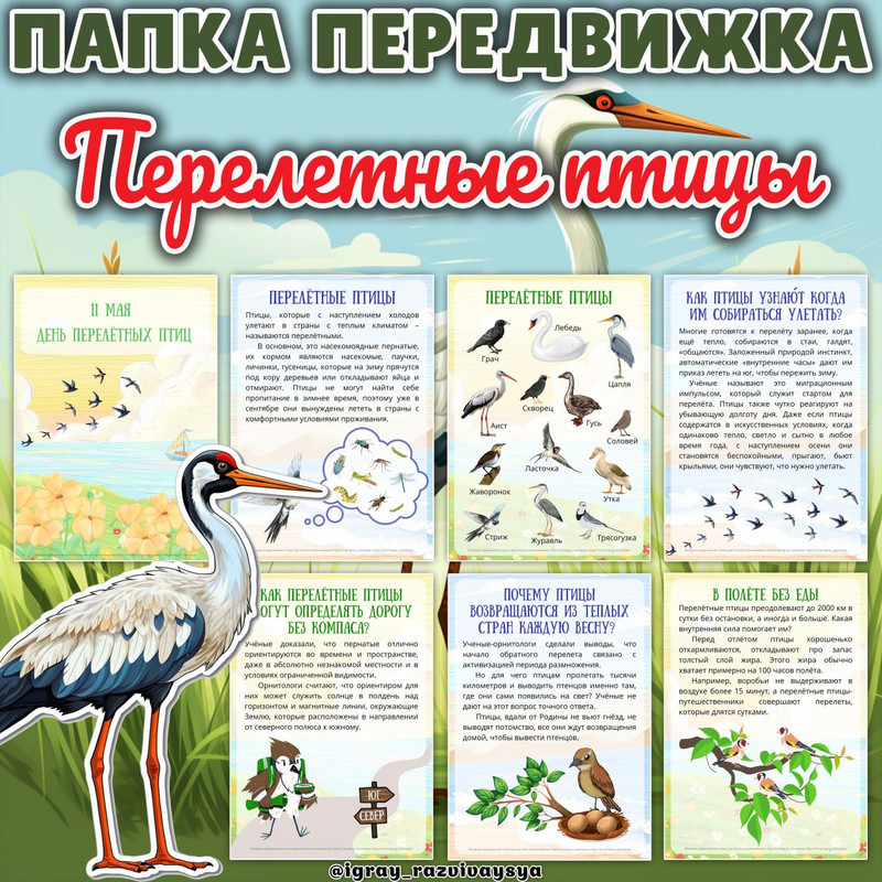 ПАПКА ПЕРЕДВИЖКА ПЕРЕЛЕТНЫЕ ПТИЦЫ