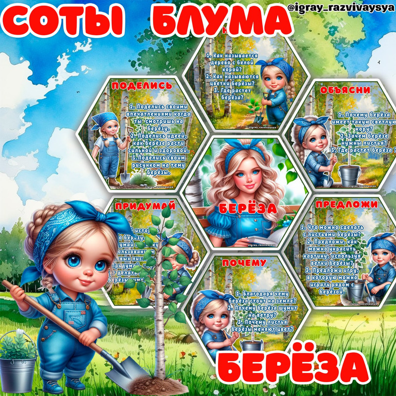 СОТЫ БЛУМА БЕРЕЗА