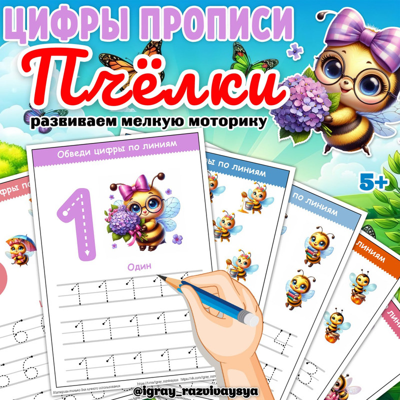 ЦИФРЫ ПРОПИСИ ПЧЕЛЫ