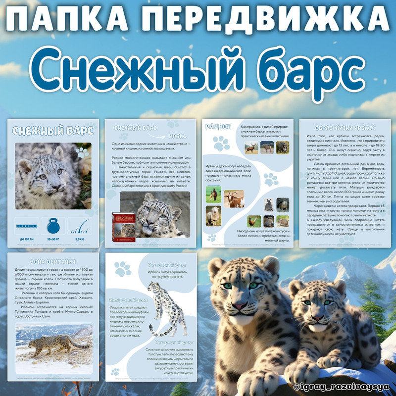 ПАПКА ПЕРЕДВИЖКА СНЕЖНЫЙ БАРС