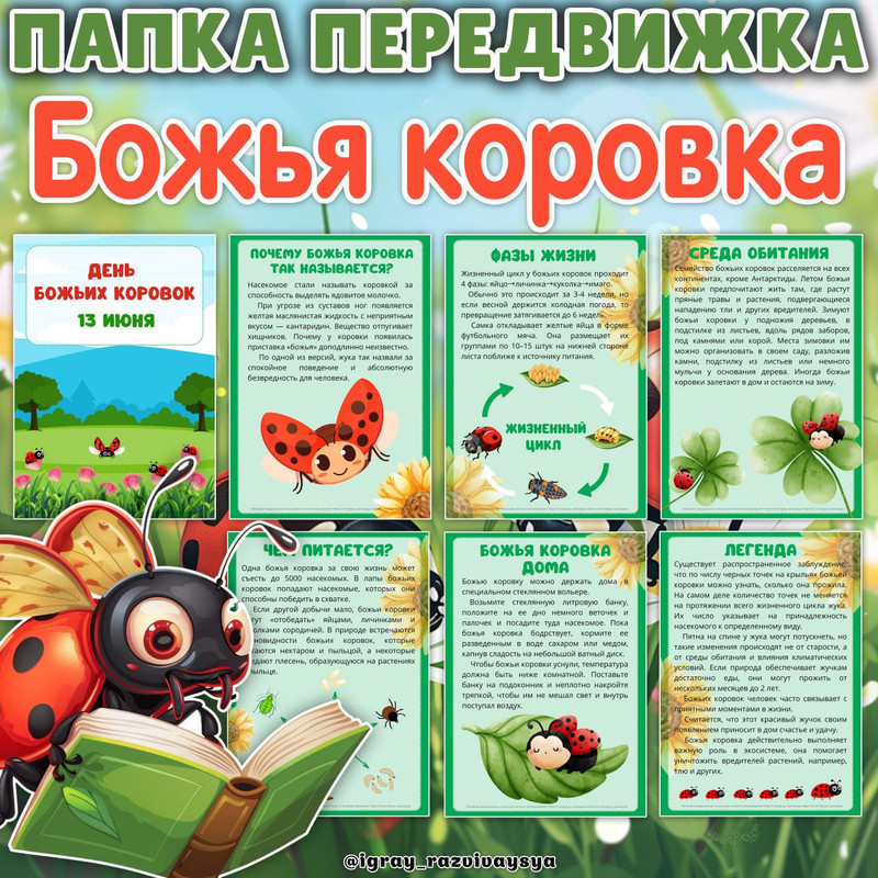 ПАПКА ПЕРЕДВИЖКА БОЖЬИ КОРОВКИ