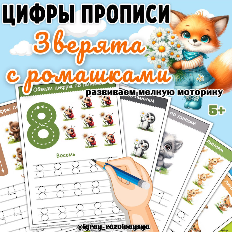 ЦИФРЫ ПРОПИСИ ЗВЕРЯТА С РОМАШКАМИ