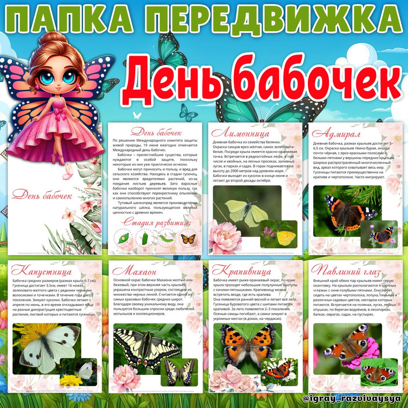 ПАПКА ПЕРЕДВИЖКА ДЕНЬ БАБОЧЕК