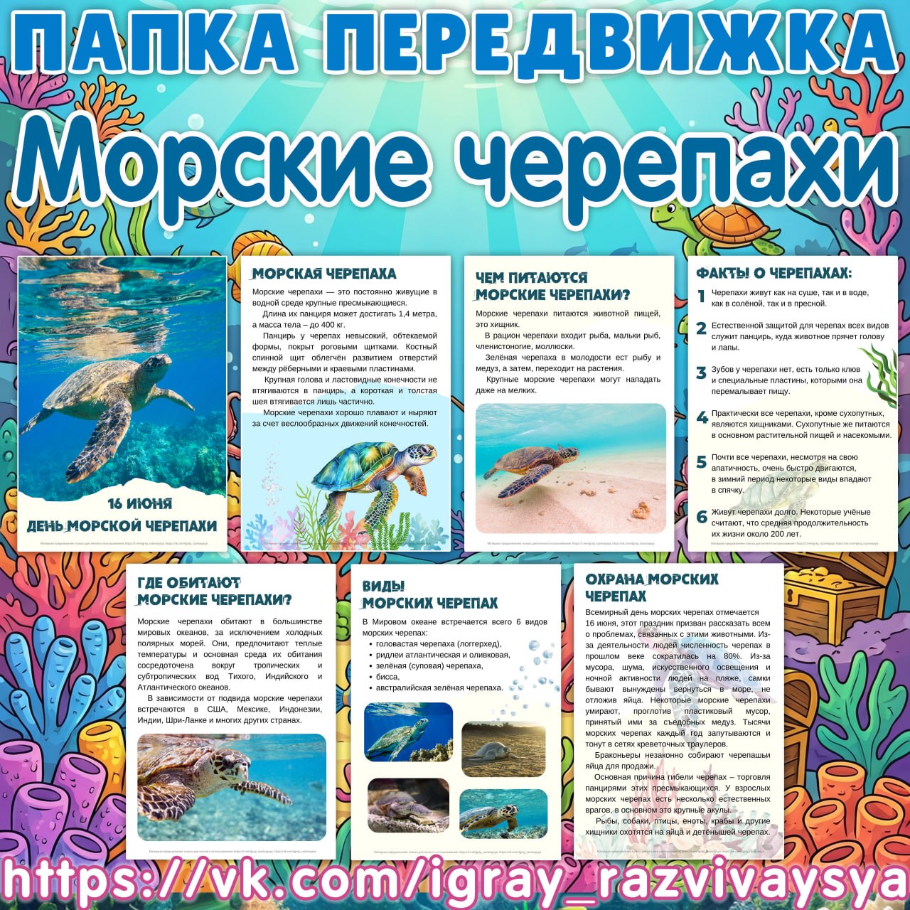 ПАПКА ПЕРЕДВИЖКА ДЕНЬ МОРСКИХ ЧЕРЕПАХ
