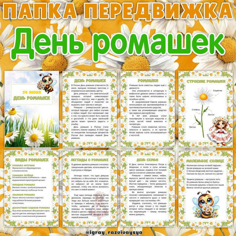 ПАПКА ПЕРЕДВИЖКА РОМАШКИ