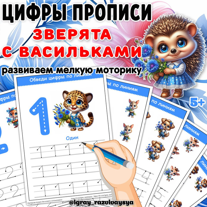 ЦИФРЫ ПРОПИСИ ВАСИЛЬКИ