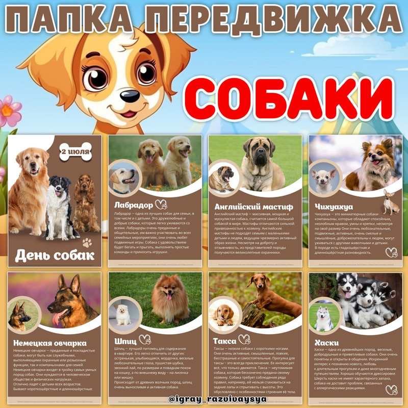 ПАПКА ПЕРЕДВИЖКА СОБАКИ