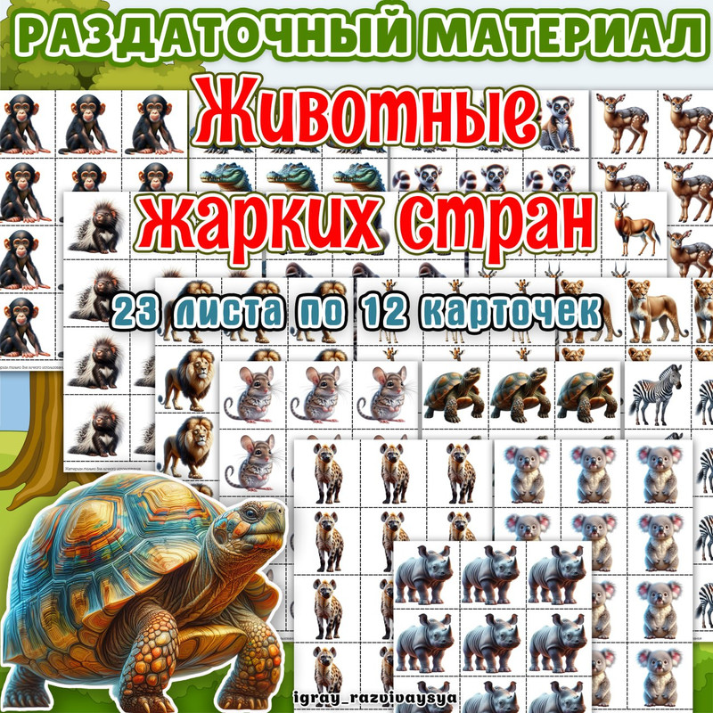 РАЗДАТОЧНЫЙ МАТЕРИАЛ ЖИВОТНЫЕ ЖАРКИХ СТРАН