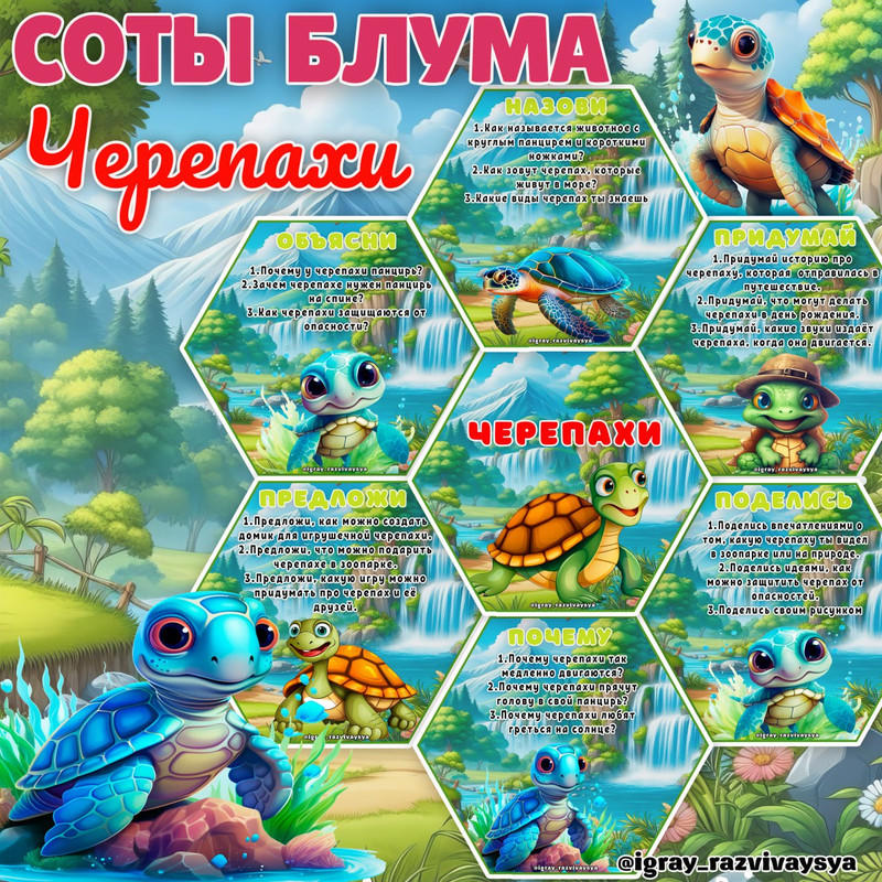 СОТЫ БЛУМА ЧЕРЕПАХИ