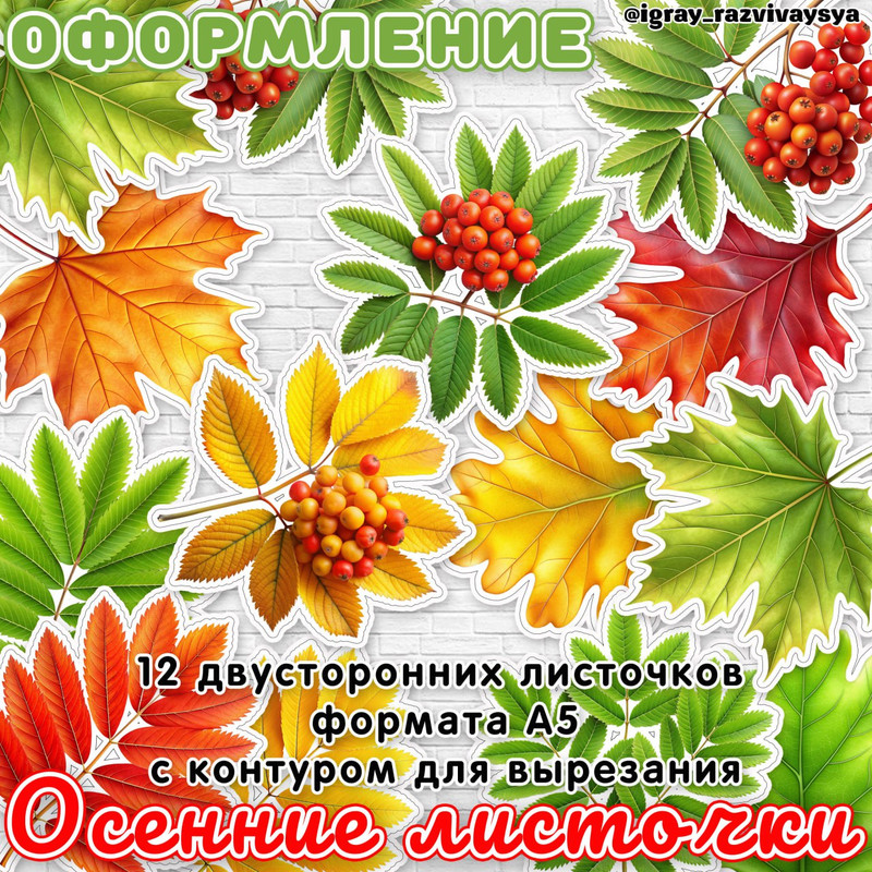 ОСЕННИЕ ЛИСТЬЯ ДЛЯ ОФОРМЛЕНИЯ