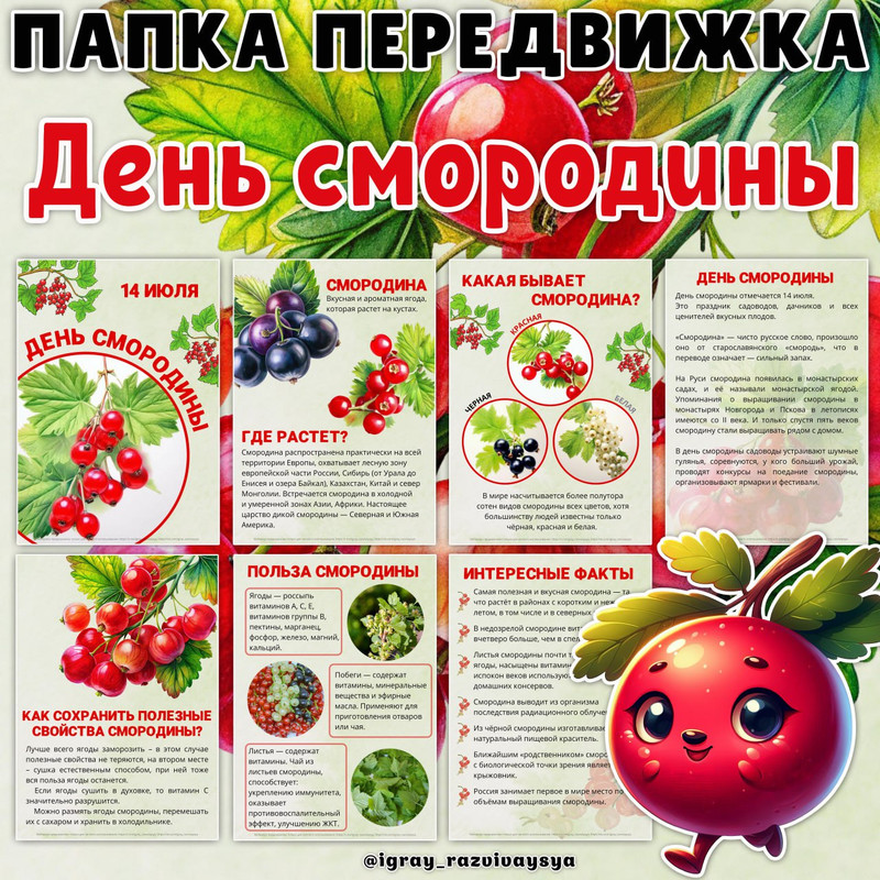 ПАПКА ПЕРЕДВИЖКА СМОРОДИНА