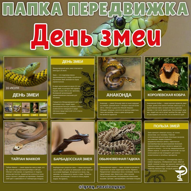 ПАПКА ПЕРЕДВИЖКА ДЕНЬ ЗМЕИ