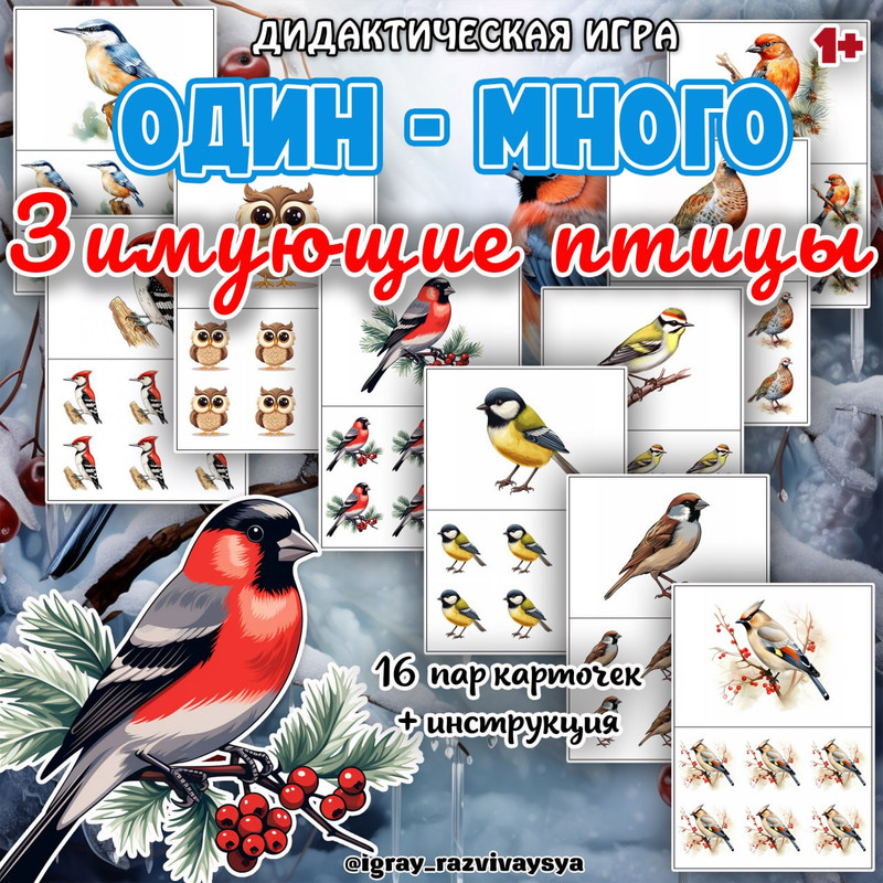 ОДИН МНОГО ЗИМУЮЩИЕ ПТИЦЫ