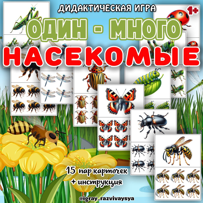 ОДИН МНОГО НАСЕКОМЫЕ