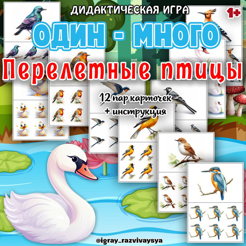 ОДИН МНОГО ПЕРЕЛЕТНЫЕ ПТИЦЫ