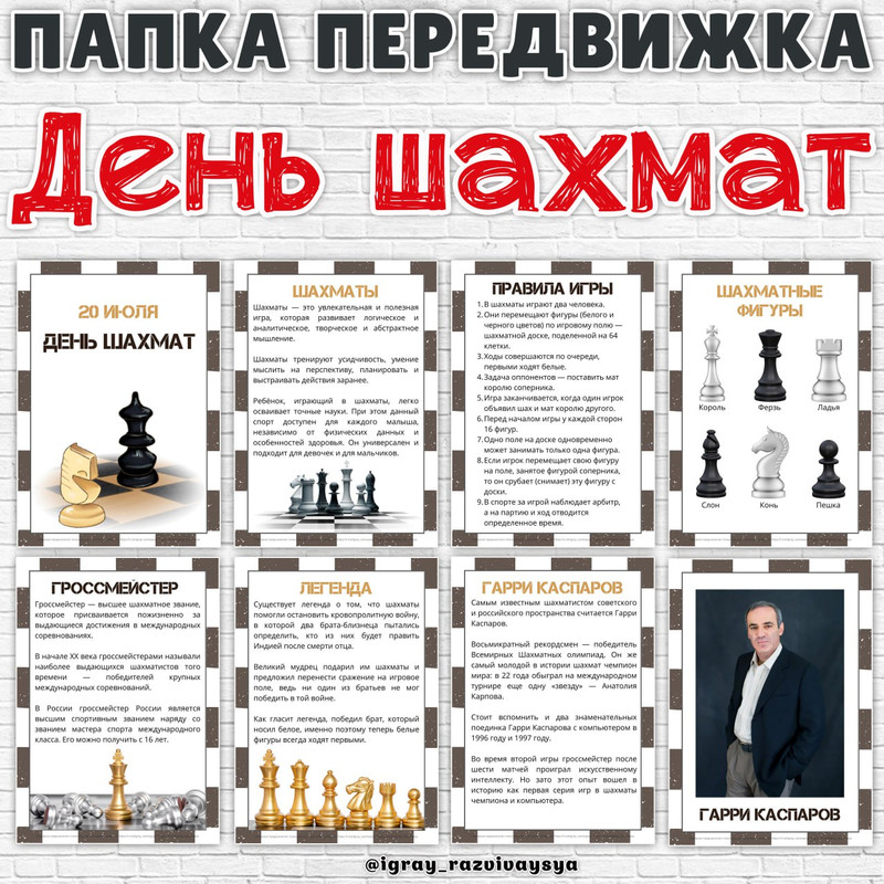 ПАПКА ПЕРЕДВИЖКА ШАХМАТЫ