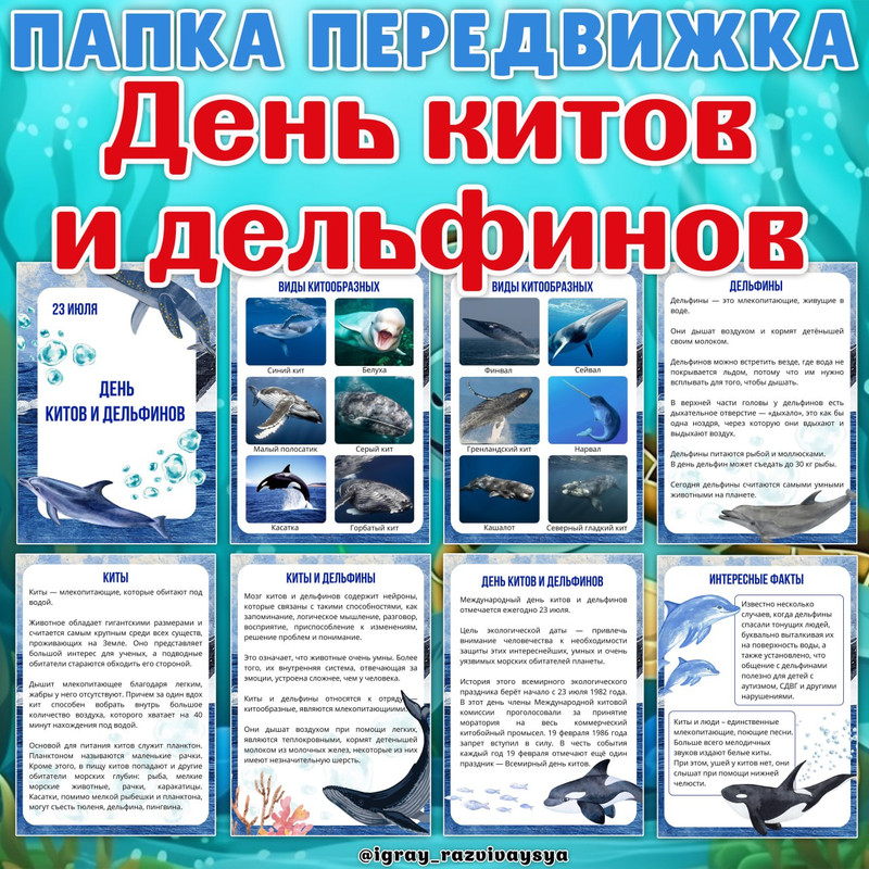 ПАПКА ПЕРЕДВИЖКА КИТЫ И ДЕЛЬФИНЫ