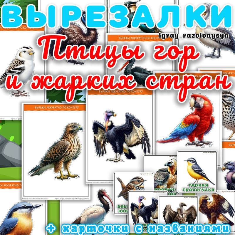 ВЫРЕЗАЛКИ ПТИЦЫ ЖАРКИХ СТРАН И ГОР