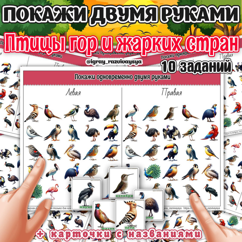 ПОКАЖИ ДВУМЯ РУКАМИ ПТИЦЫ ГОР И ЖАРКИХ СТРАН