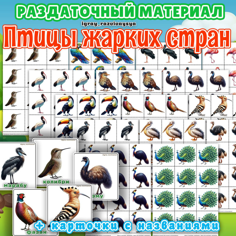 РАЗДАТОЧНЫЙ МАТЕРИАЛ ПТИЦЫ ЖАРКИХ СТРАН