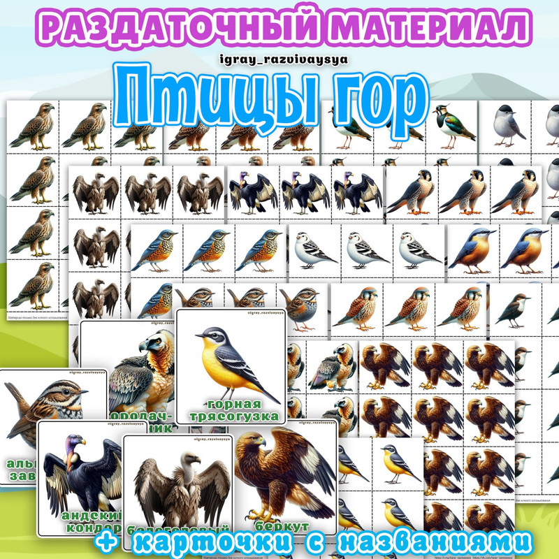 РАЗДАТОЧНЫЙ МАТЕРИАЛ ПТИЦЫ ГОР