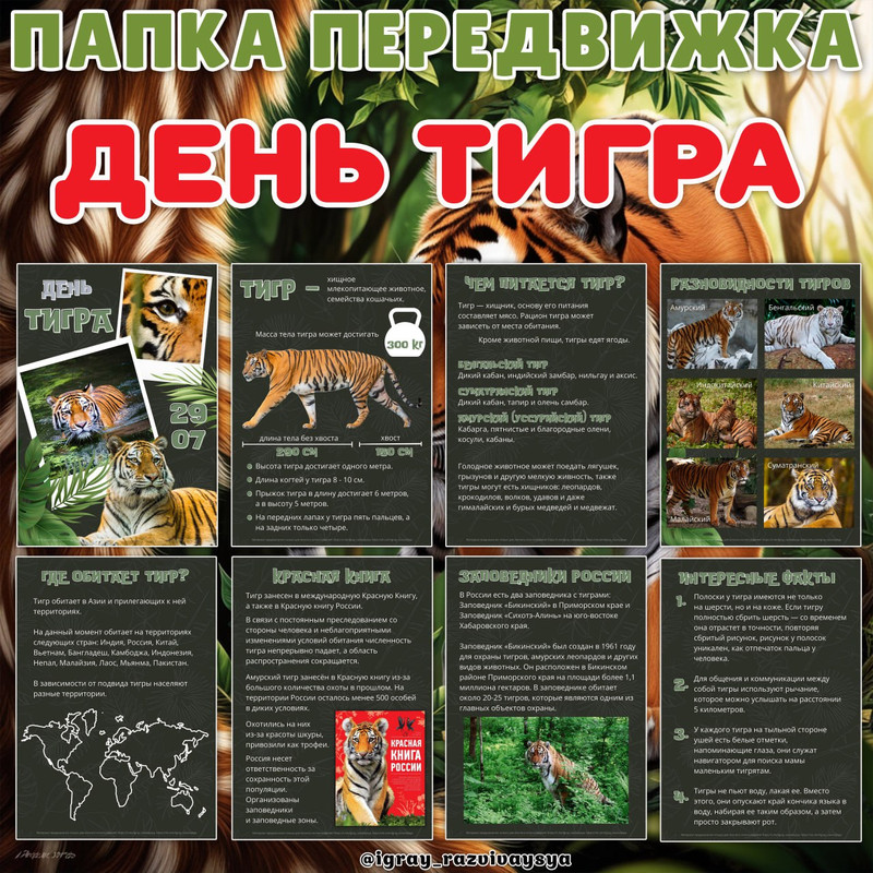 ПАПКА ПЕРЕДВИЖКА ТИГР