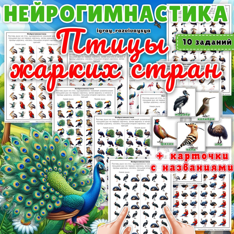 НЕЙРОГИМНАСТИКА ПТИЦЫ ЖАРКИХ СТРАН