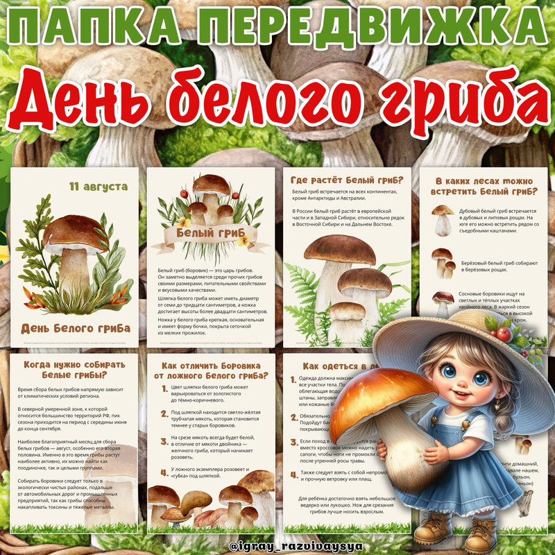 ПАПКА ПЕРЕДВИЖКА БЕЛЫЙ ГРИБ