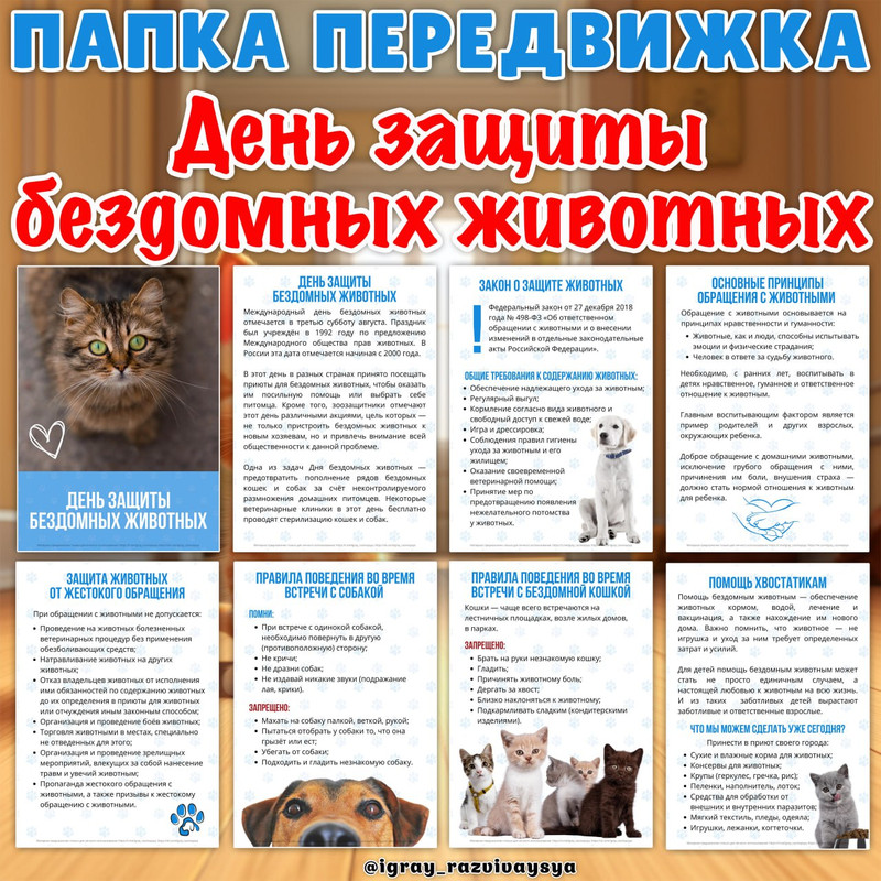 ПАПКА ПЕРЕДВИЖКА ДЕНЬ ЗАЩИТЫ БЕЗДОМНЫХ ЖИВОТНЫХ