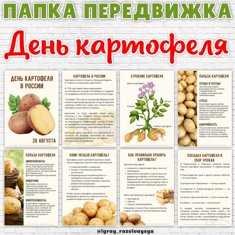 ПАПКА ПЕРЕДВИЖА ДЕНЬ КАРТОФЕЛЯ