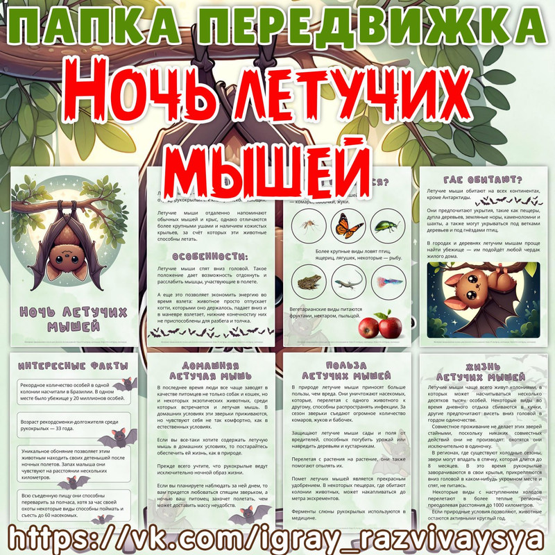 ПАПКА ПЕРЕДВИЖКА ЛЕТУЧИЕ МЫШИ