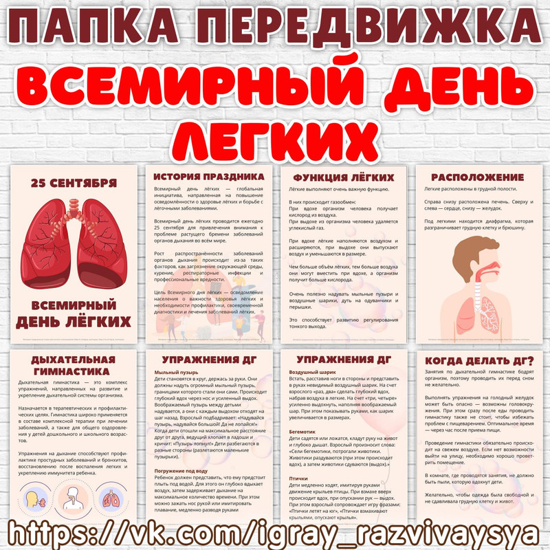 ПАПКА ПЕРЕДВИЖКА ДЕНЬ ЛЕГКИХ