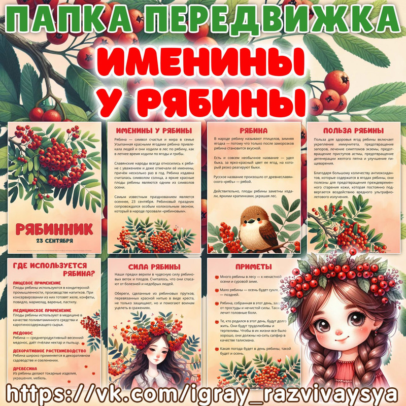 ПАПКА ПЕРЕДВИЖКА ИМЕНИНЫ У РЯБИНЫ