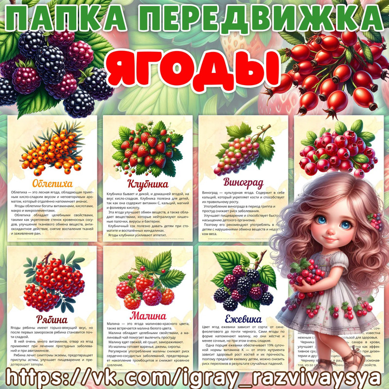 ПАПКА ПЕРЕДВИЖКА ЯГОДЫ