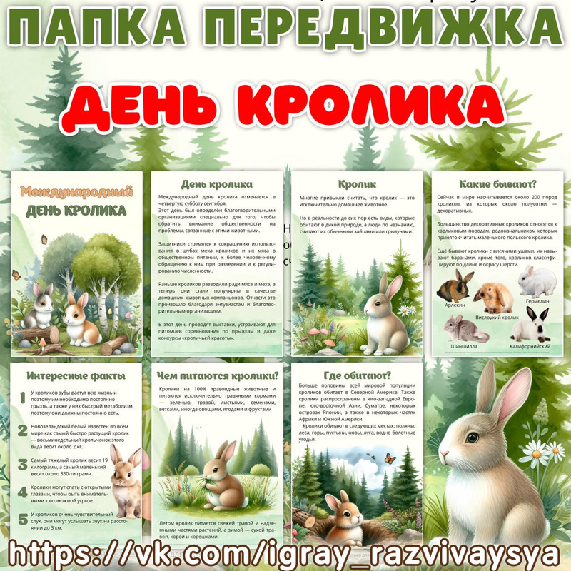 ПАПКА ПЕРЕДВИЖКА ДЕНЬ КРОЛИКА