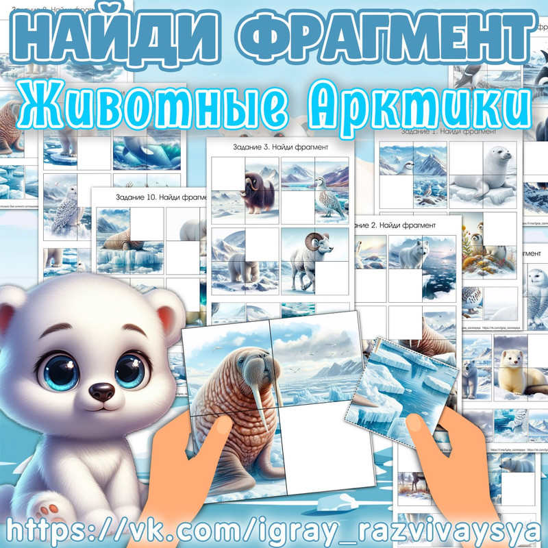 НАЙДИ ФРАГМЕНТ ЖИВОТНЫЕ АРКТИКИ