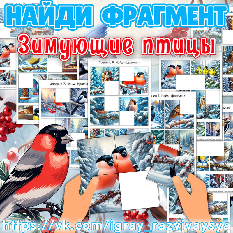 НАЙДИ ФРАГМЕНТ ЗИМУЮЩИЕ ПТИЦЫ