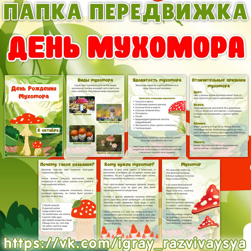 ПАПКА ПЕРЕДВИЖКА МУХОМОР