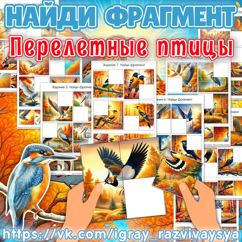 НАЙДИ ФРАГМЕНТ ПЕРЕЛЕТНЫЕ ПТИЦЫ