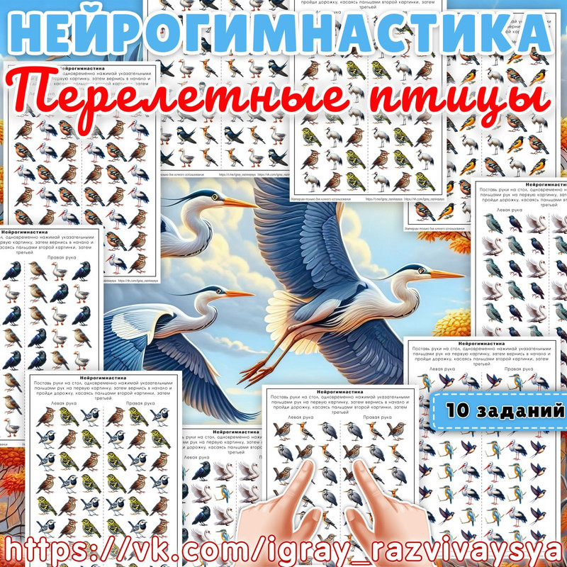 НЕЙРОГИМНАСТИКА ПЕРЕЛЕТНЫЕ ПТИЦЫ