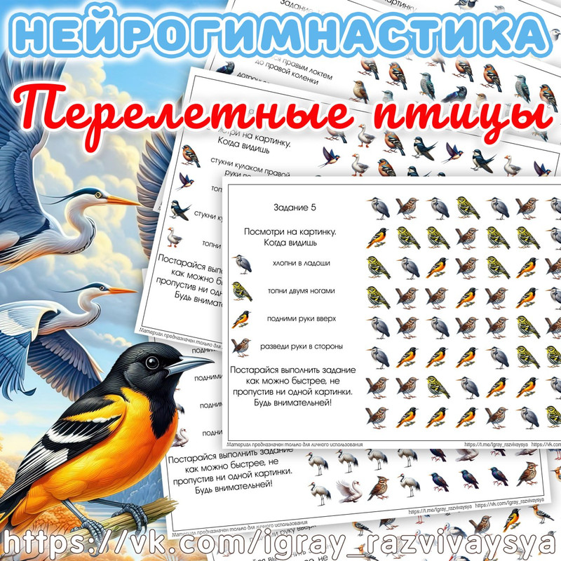 НЕЙРОГИМНАСТИКА 2 ПЕРЕЛЕТНЫЕ ПТИЦЫ