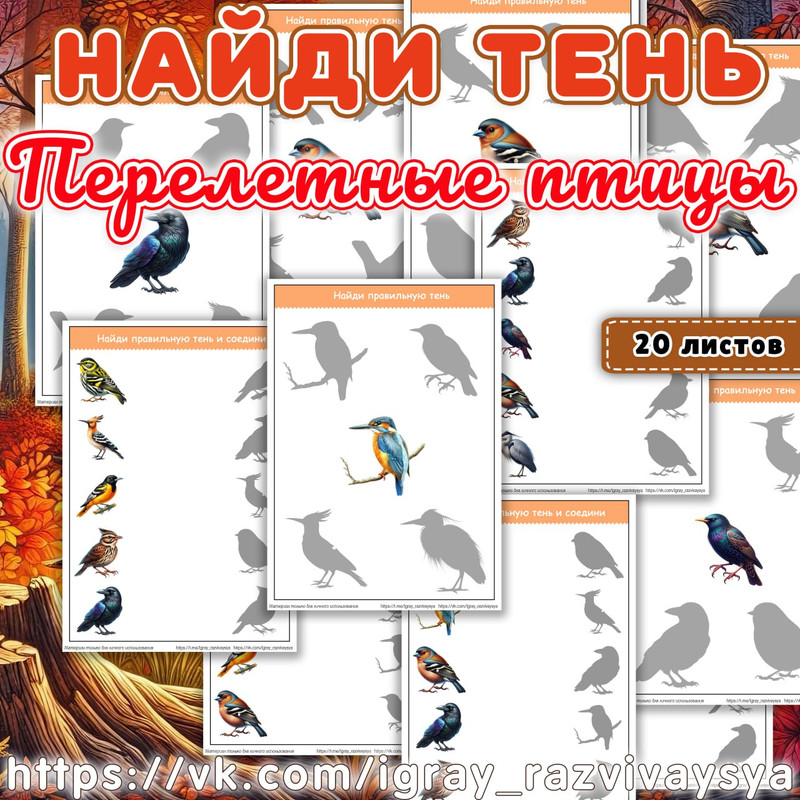 НАЙДИ ТЕНЬ ПЕРЕЛЕТНЫЕ ПТИЦЫ