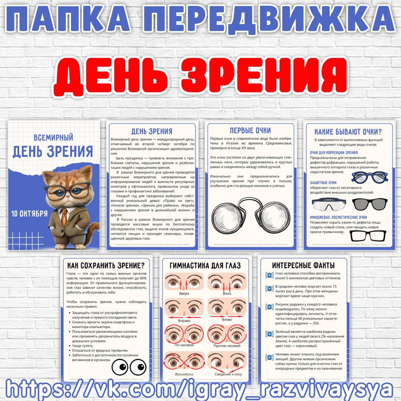 ПАПКА ПЕРЕДВИЖКА ДЕНЬ ЗРЕНИЯ