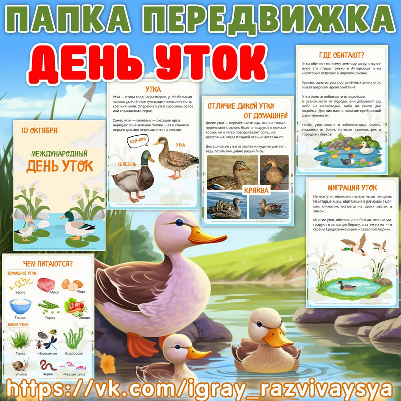 ПАПКА ПЕРЕДВИЖКА ДЕНЬ УТОК