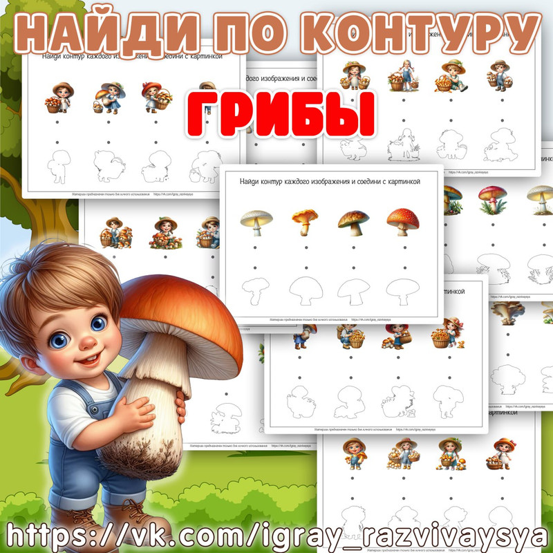 НАЙДИ ПО КОНТУРУ ГРИБЫ