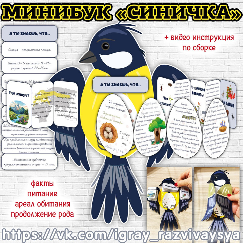 МИНИБУК СИНИЦА