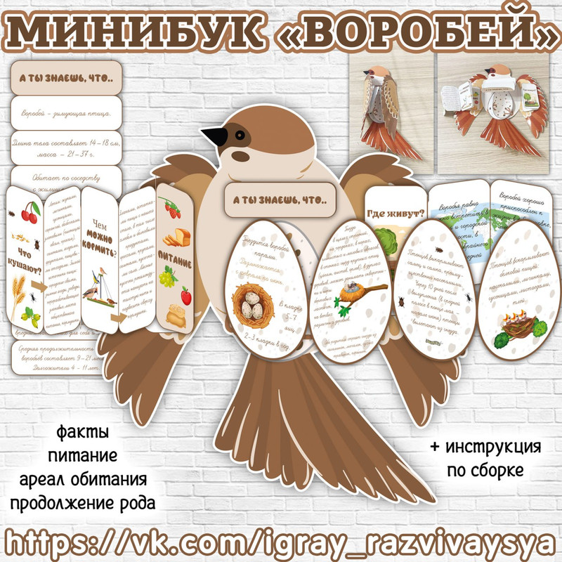 МИНИБУК ВОРОБЕЙ